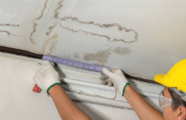 Reliable Water Damage contractor in Richmond Hill, GA by Water Damage Irwin